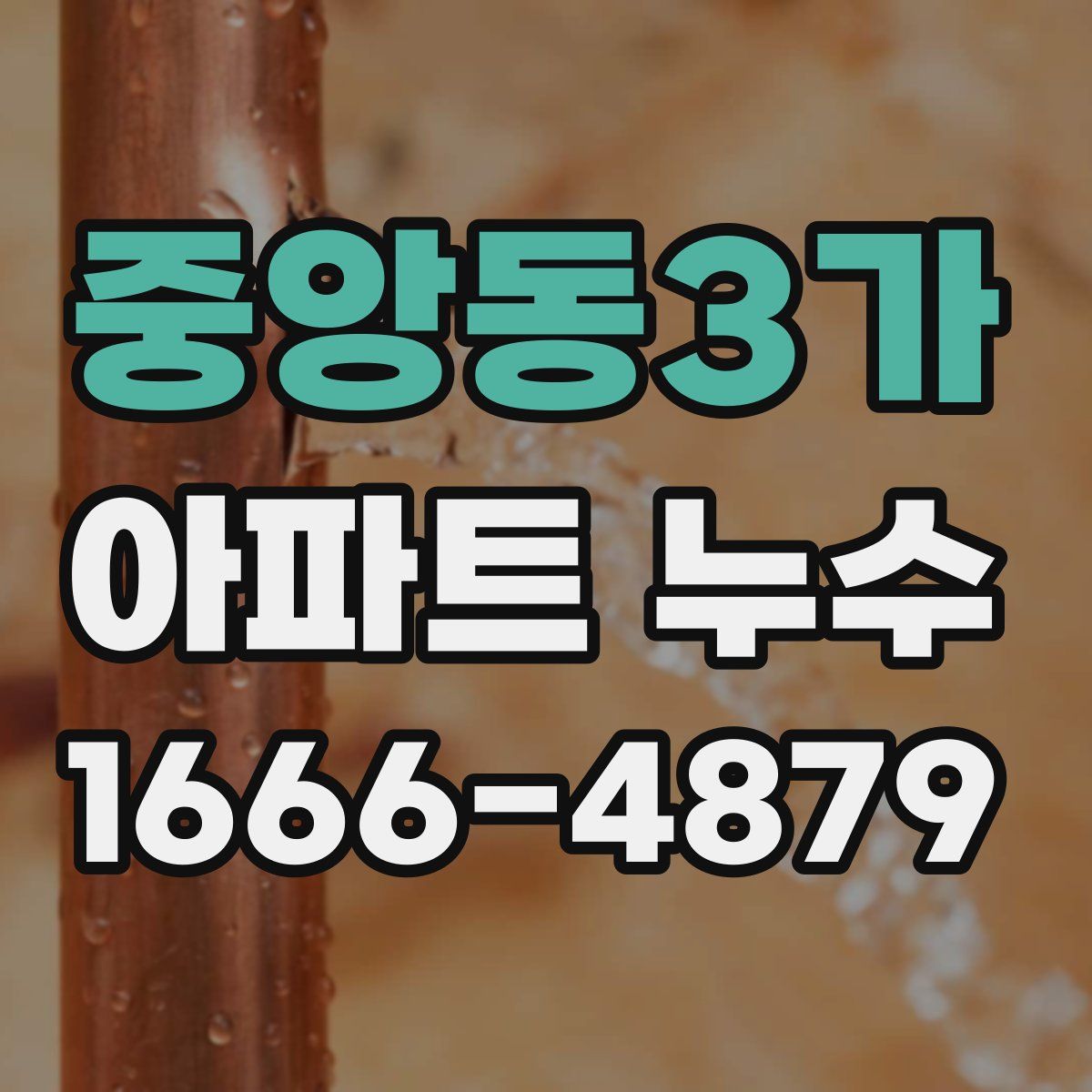 중앙동3가 아파트 누수