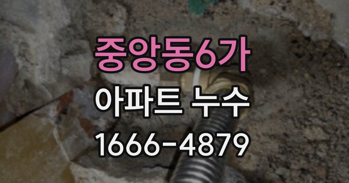 중앙동6가 아파트 누수