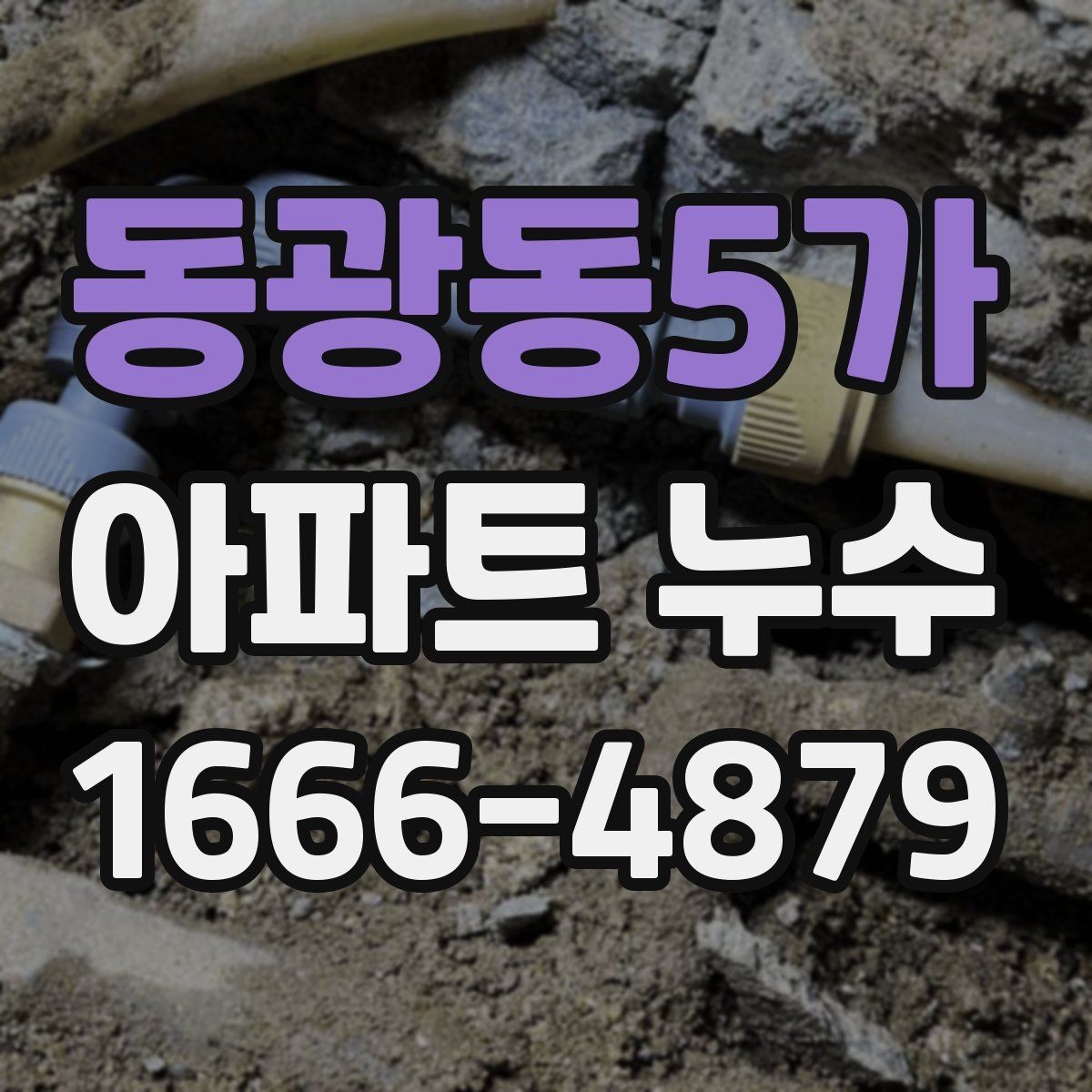 동광동5가 아파트 누수 점검을 맡길 때 보는 항목