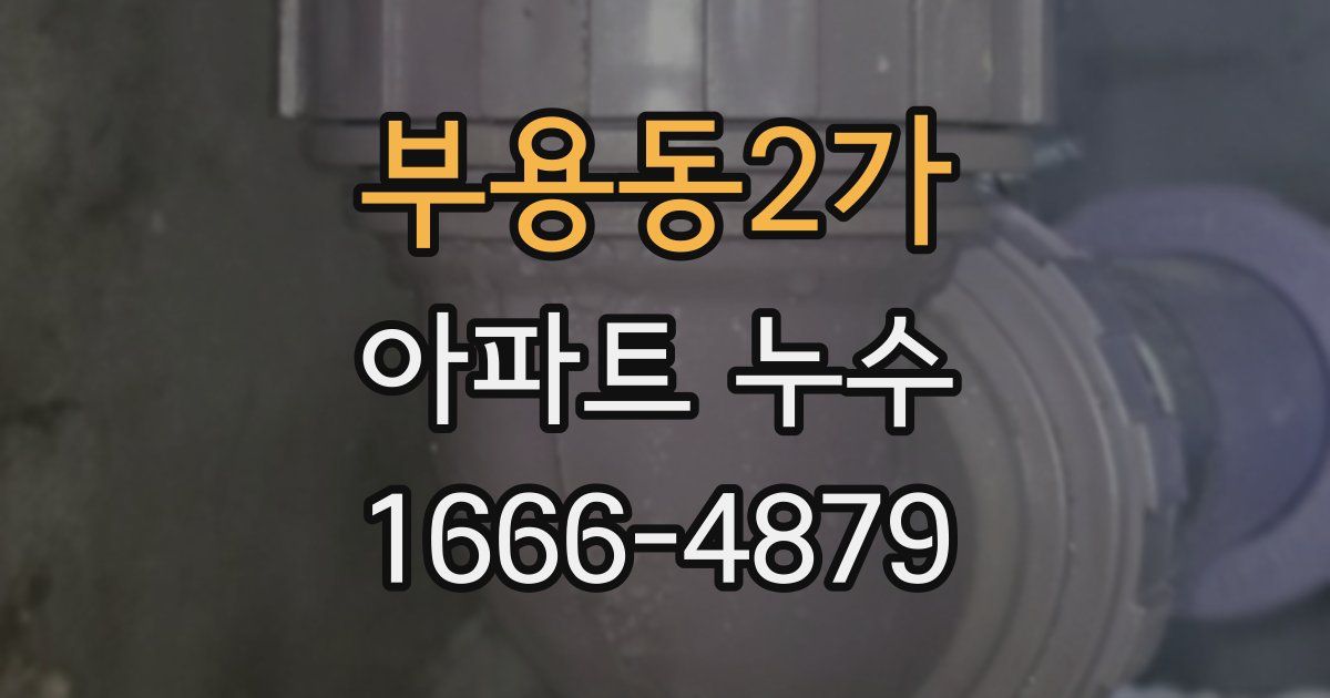 부용동2가 아파트 누수