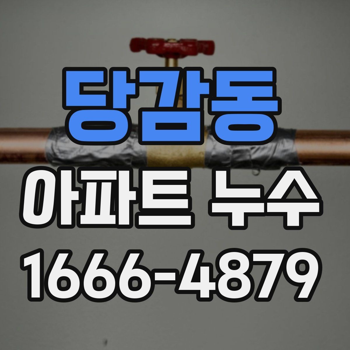 당감동 아파트 누수 점검을 맡길 때 보는 항목