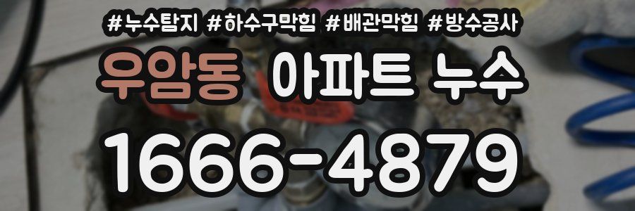 우암동 아파트 누수