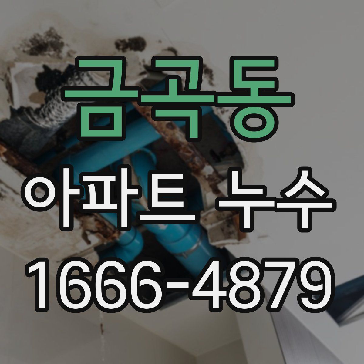 금곡동 아파트 누수