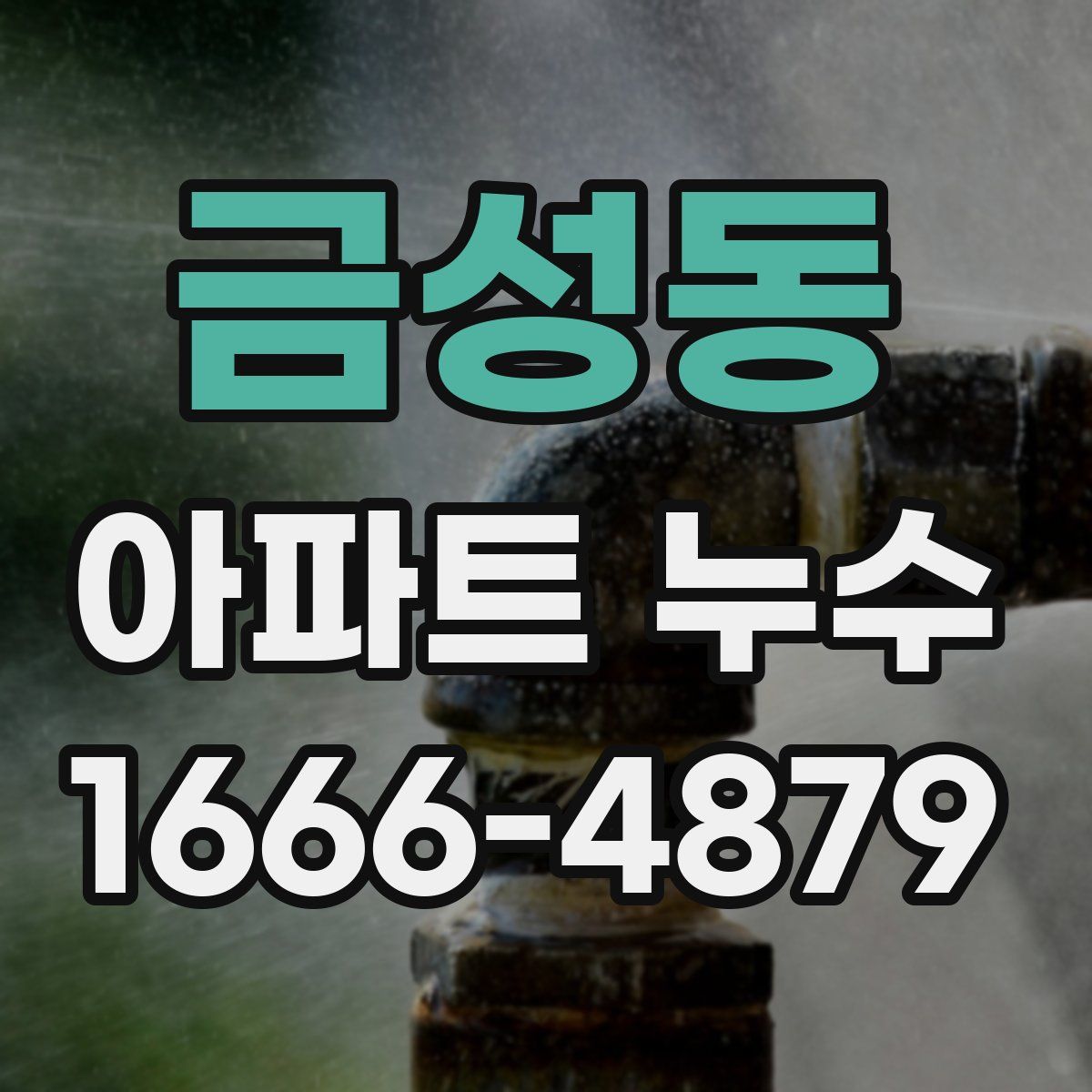 금성동 아파트 누수