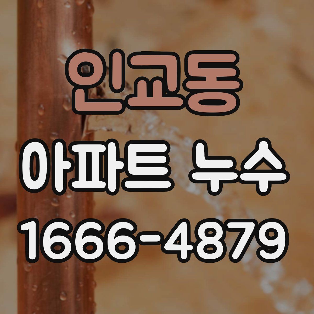 인교동 아파트 누수 원인에 맞는 보수 방식 선택