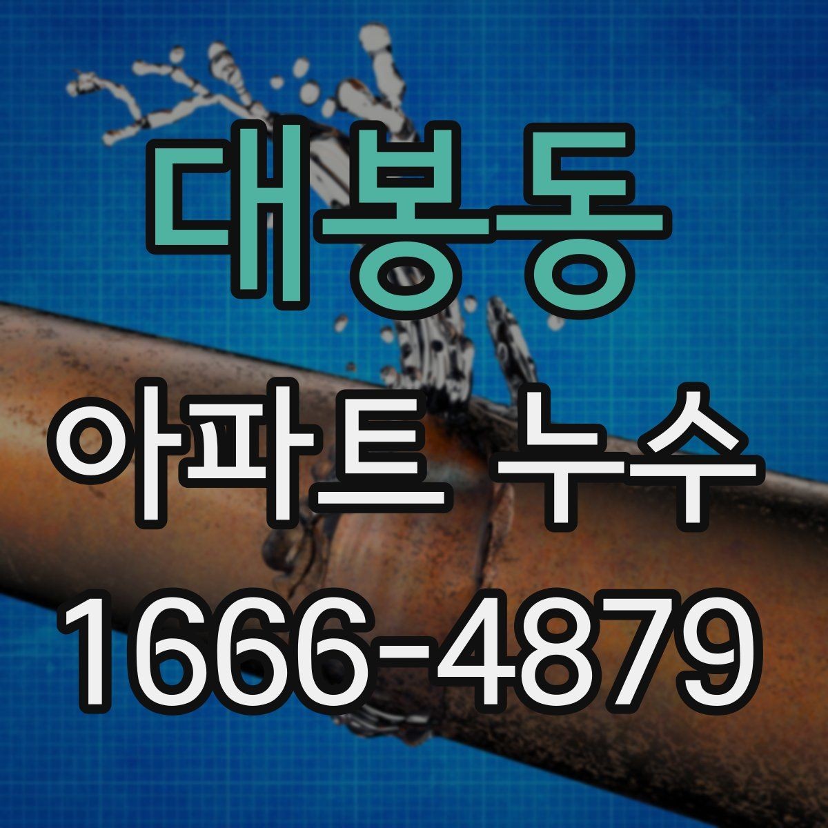 대봉동 아파트 누수 의심 시 계절별 확인 포인트