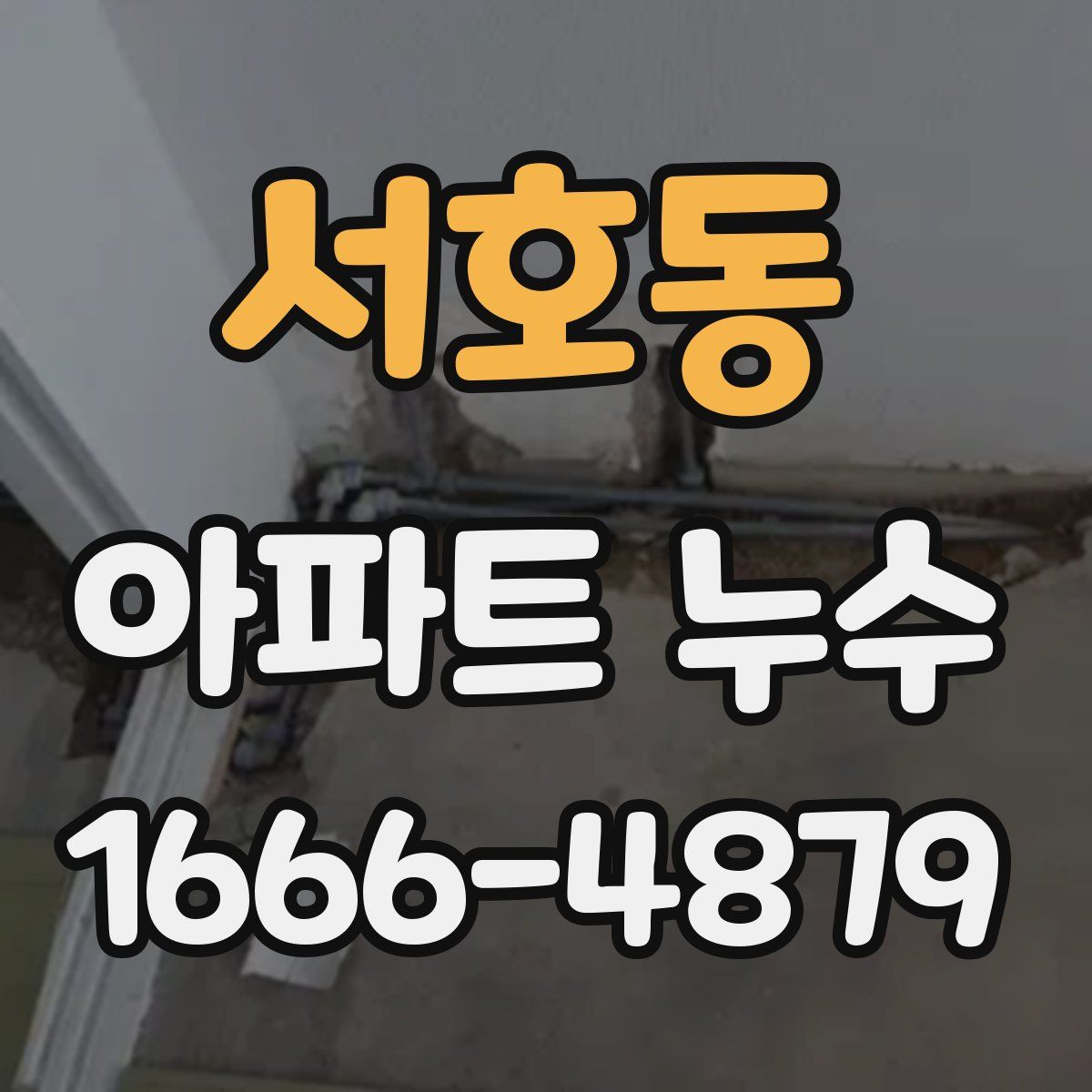 서호동 아파트 누수