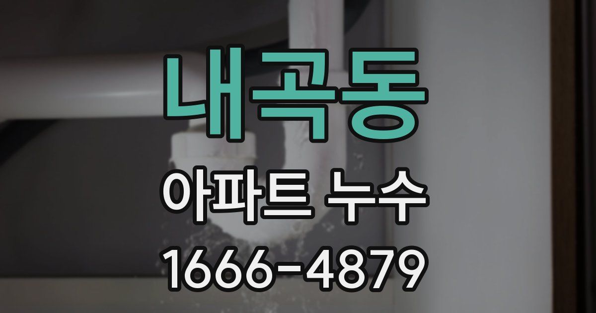 내곡동 아파트 누수