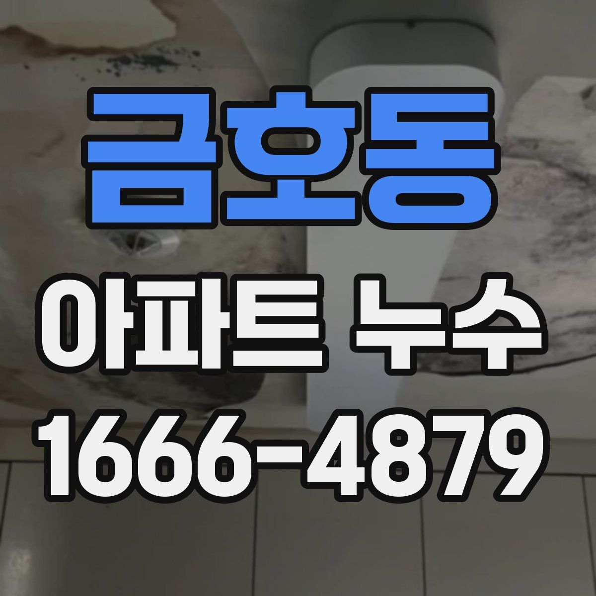 금호동 아파트 누수