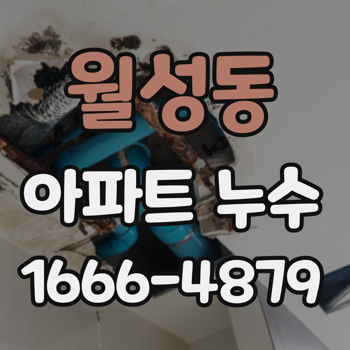 월성동 아파트 누수