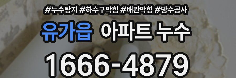 유가읍 아파트 누수