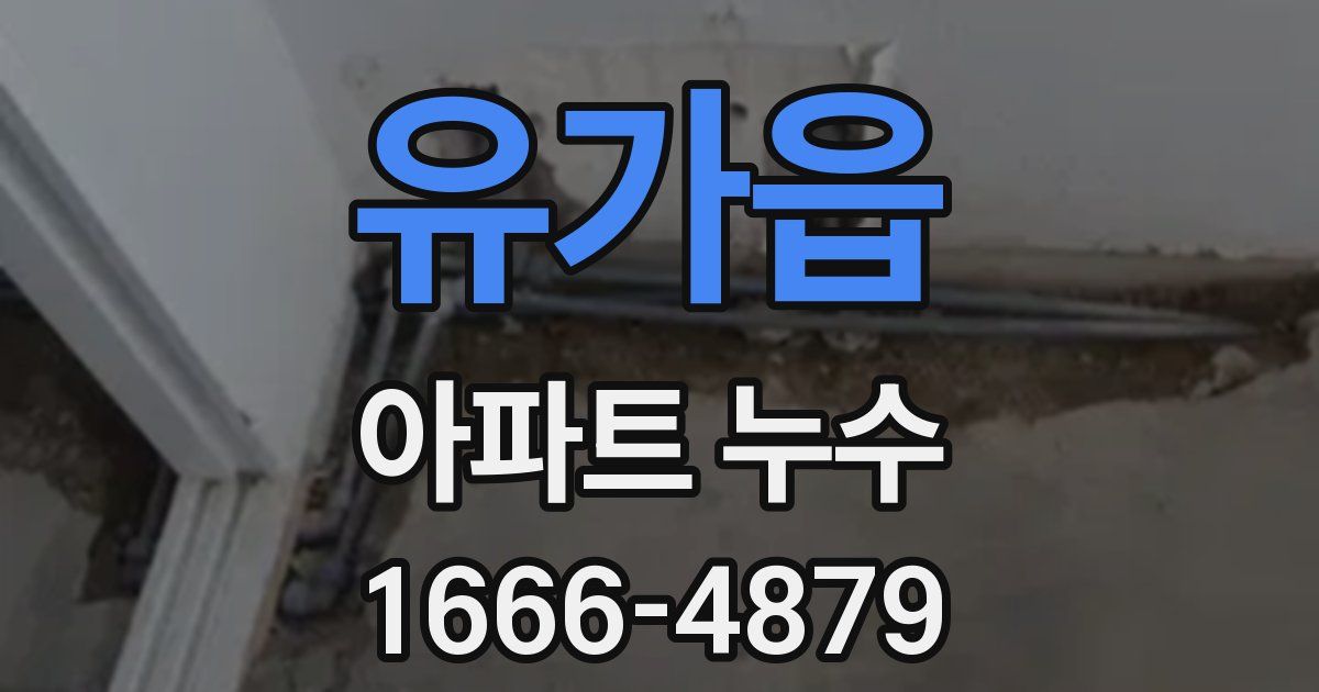 유가읍 아파트 누수