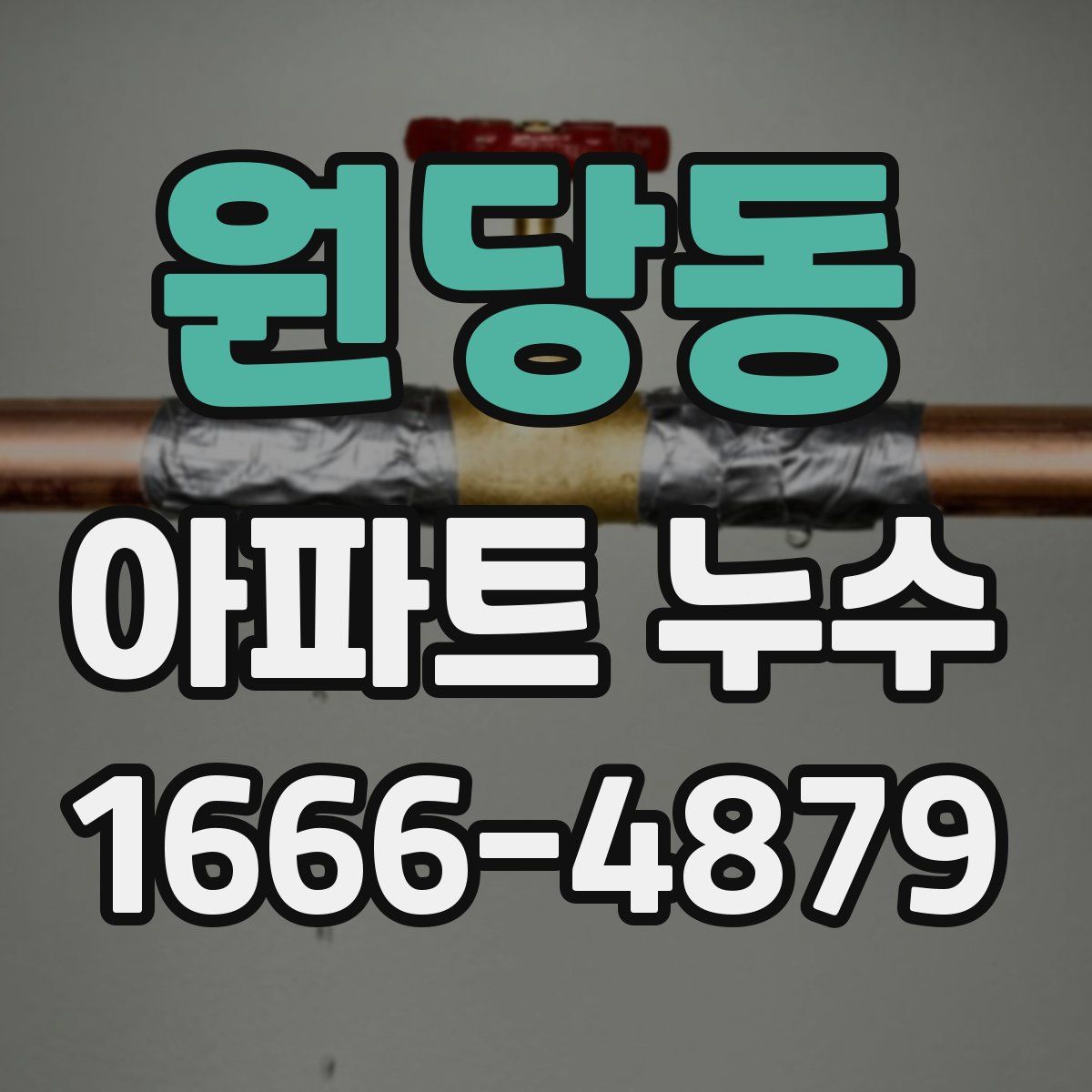 원당동 아파트 누수