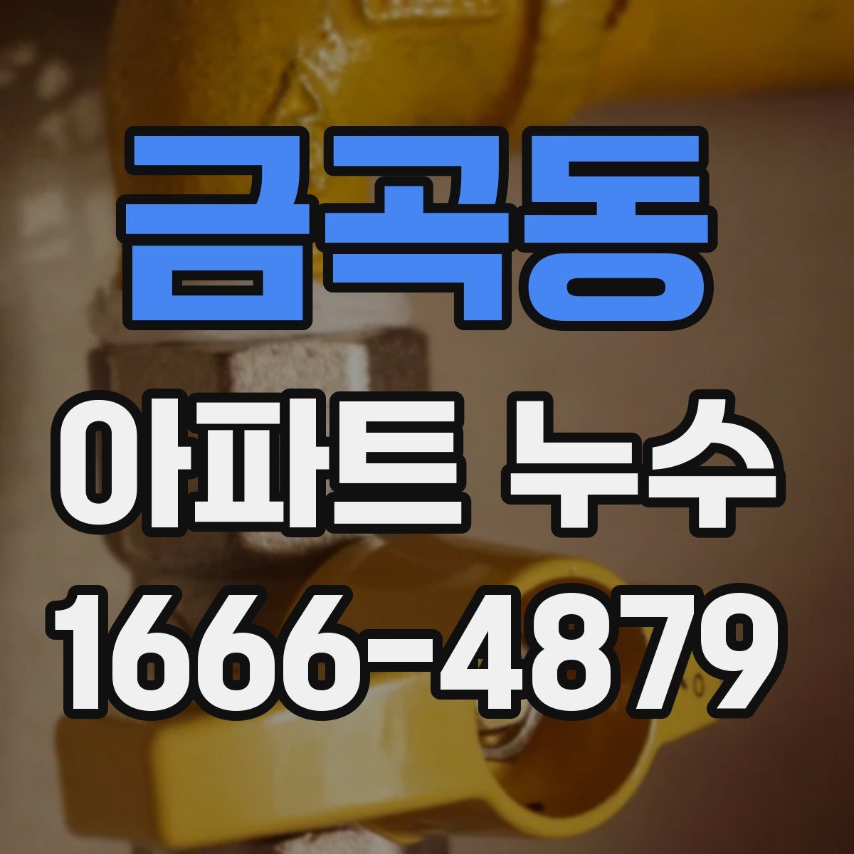 금곡동 아파트 누수