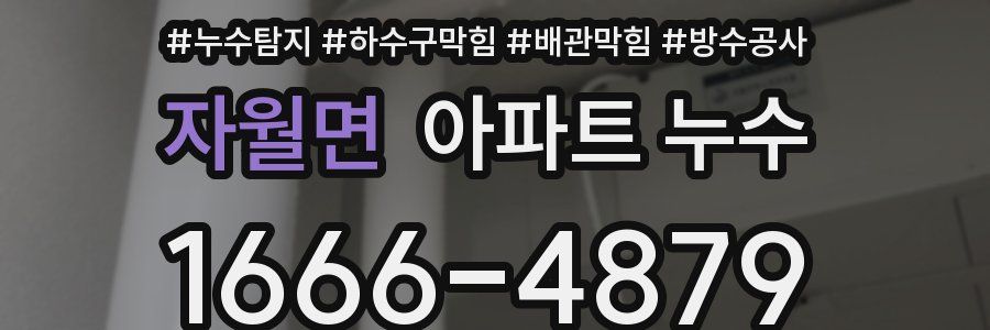 자월면 아파트 누수