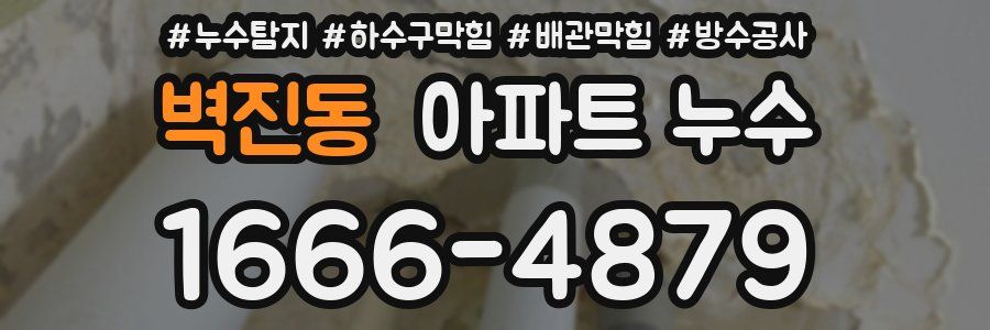 벽진동 아파트 누수