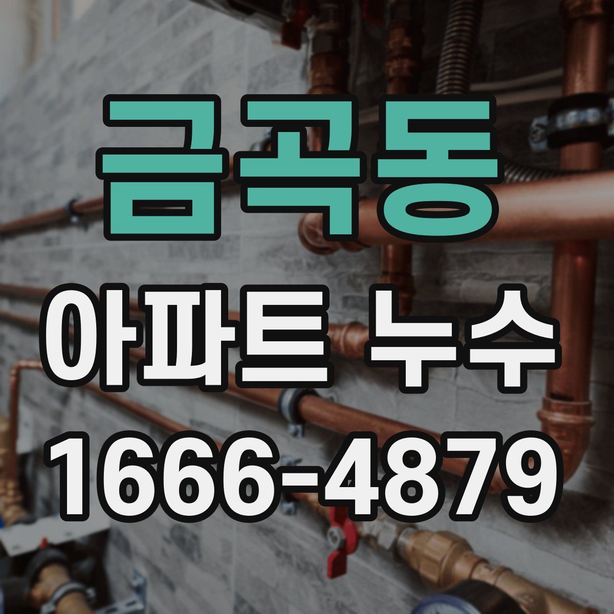 금곡동 아파트 누수