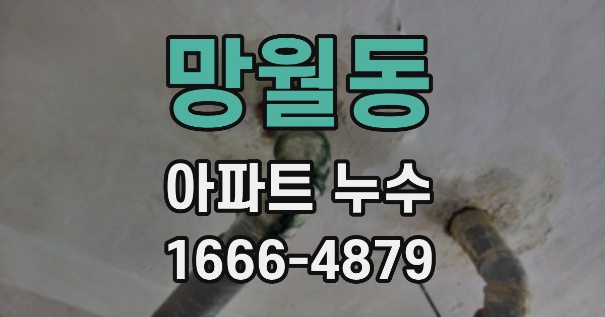 망월동 아파트 누수