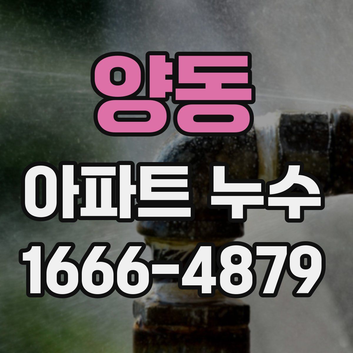 양동 아파트 누수