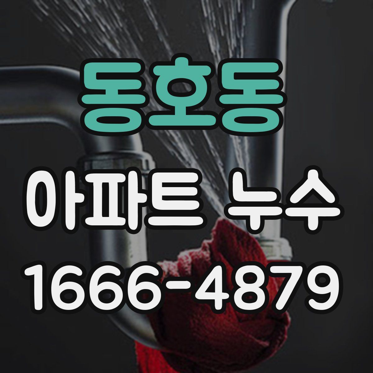 동호동 아파트 누수