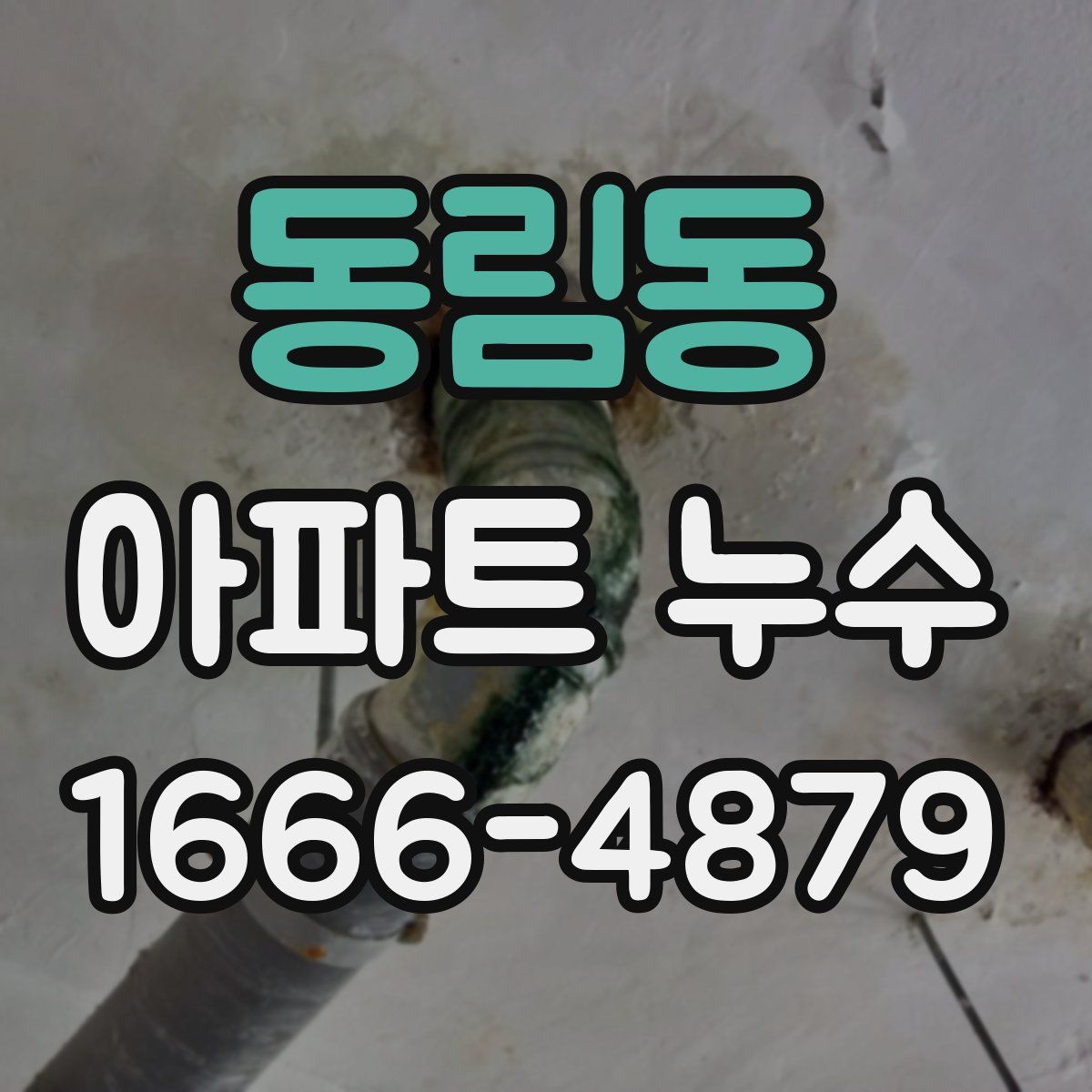 동림동 아파트 누수