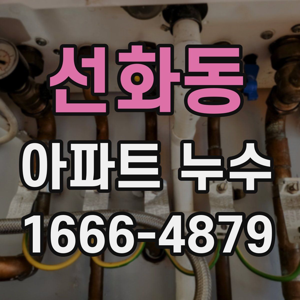 선화동 아파트 누수