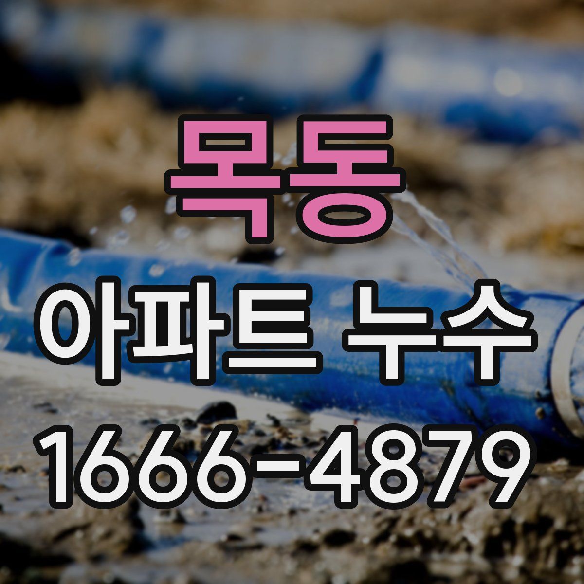 목동 아파트 누수
