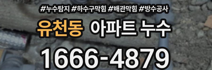 유천동 아파트 누수