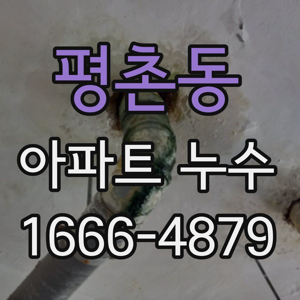 평촌동 아파트 누수