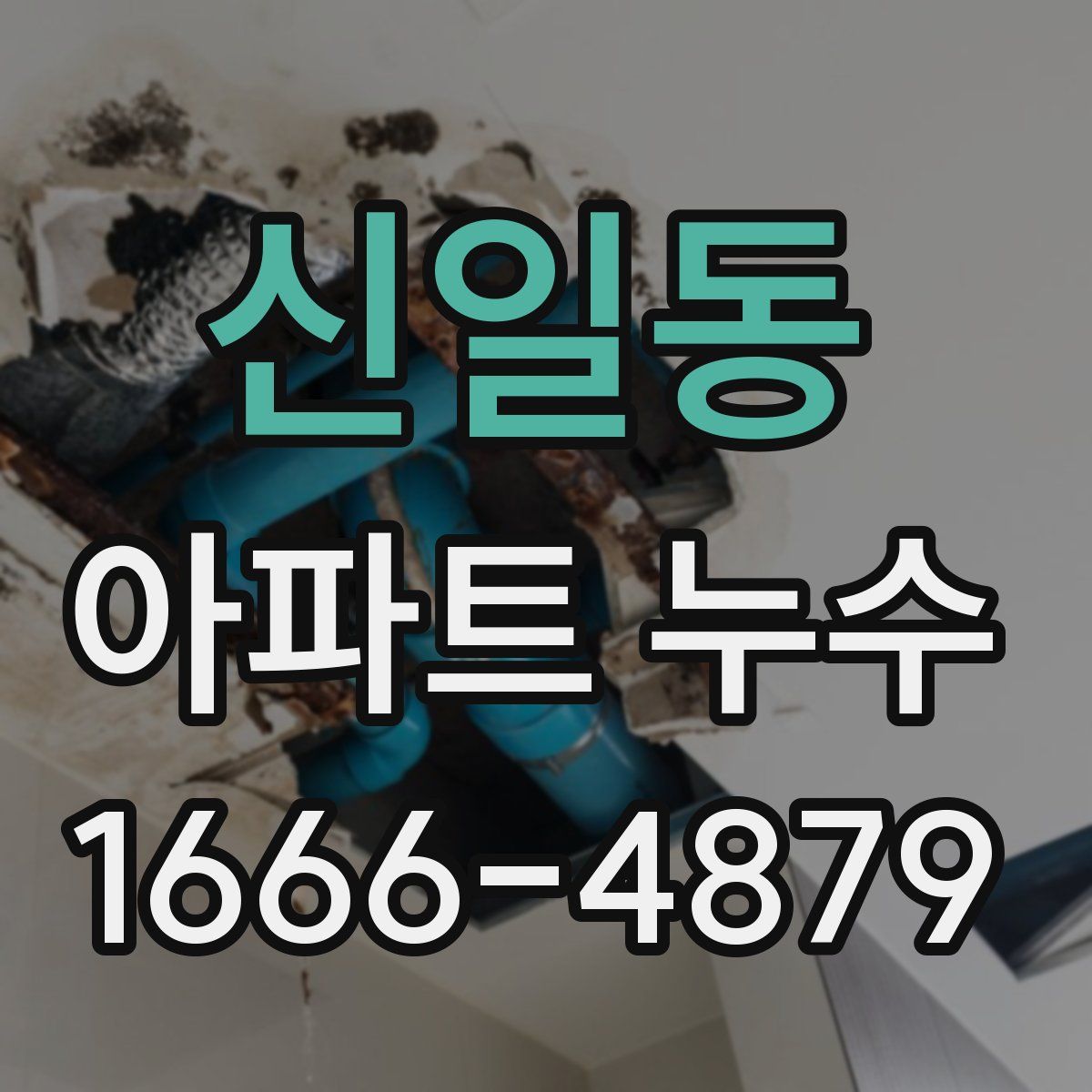 신일동 아파트 누수