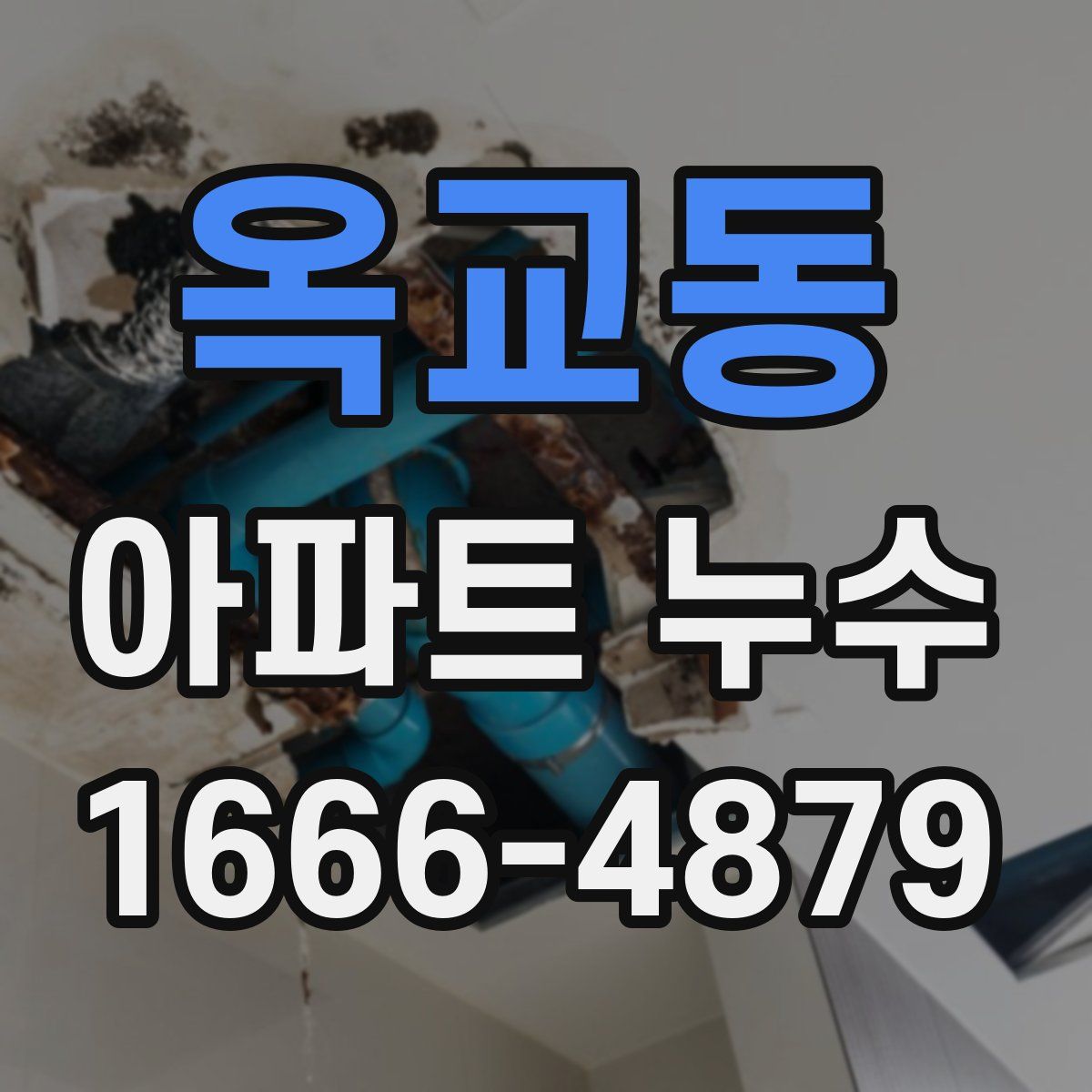 옥교동 아파트 누수