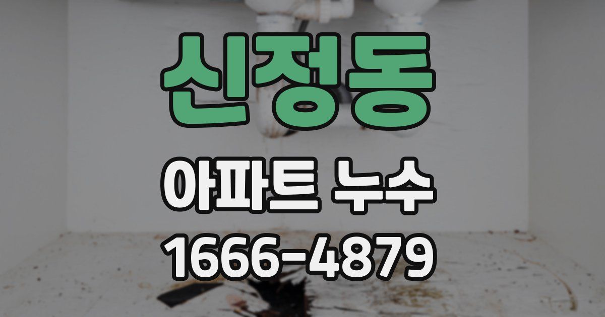 신정동 아파트 누수