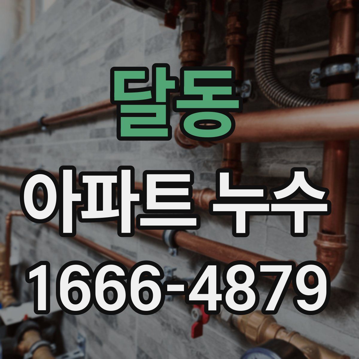 달동 아파트 누수