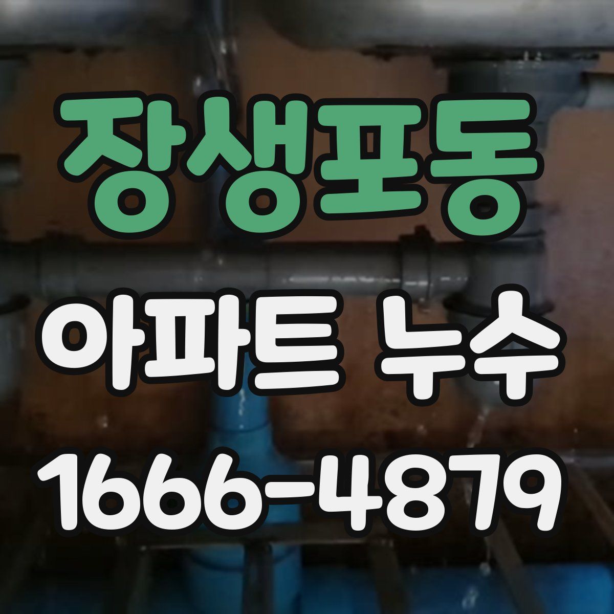 장생포동 아파트 누수
