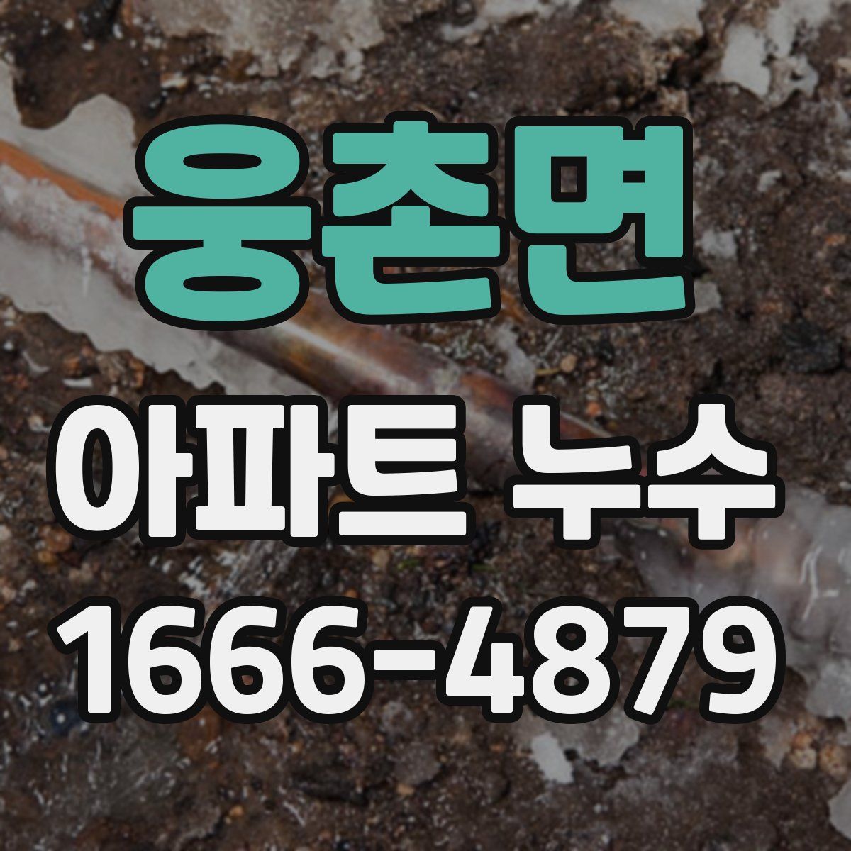 웅촌면 아파트 누수