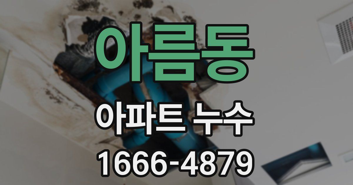 아름동 아파트 누수