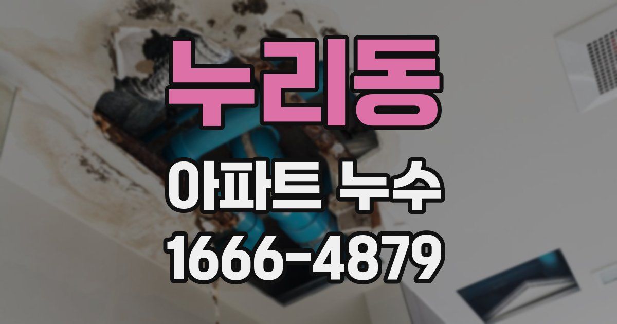 누리동 아파트 누수