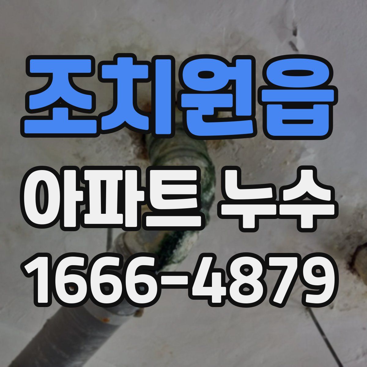 조치원읍 아파트 누수