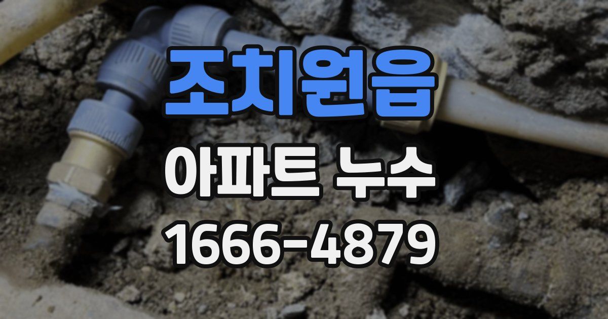 조치원읍 아파트 누수