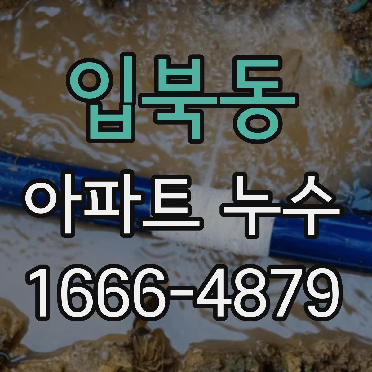 입북동 아파트 누수