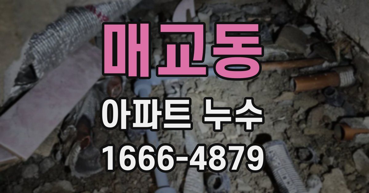매교동 아파트 누수