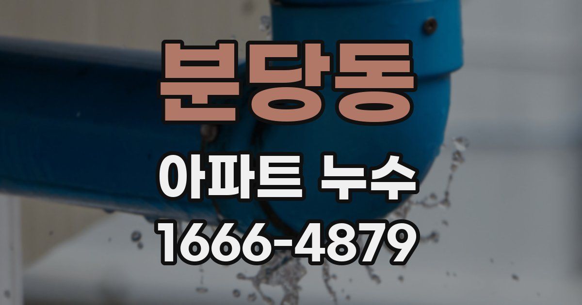 분당동 아파트 누수