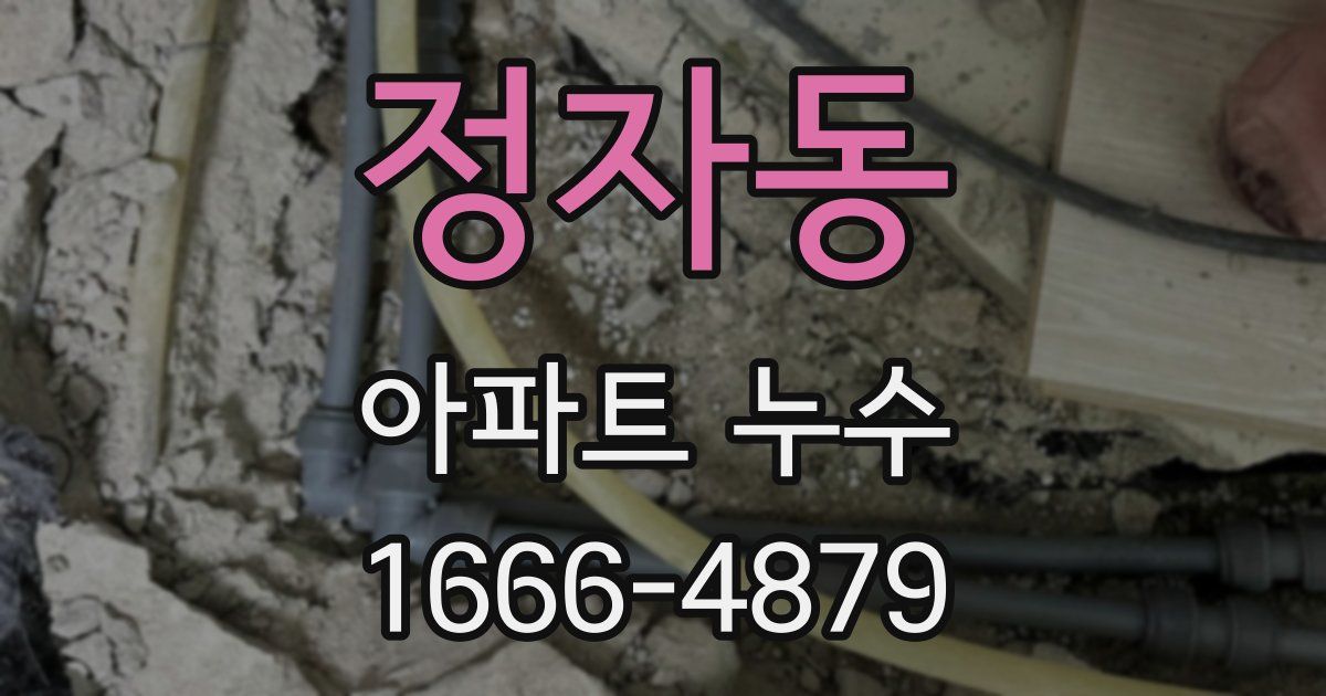 정자동 아파트 누수