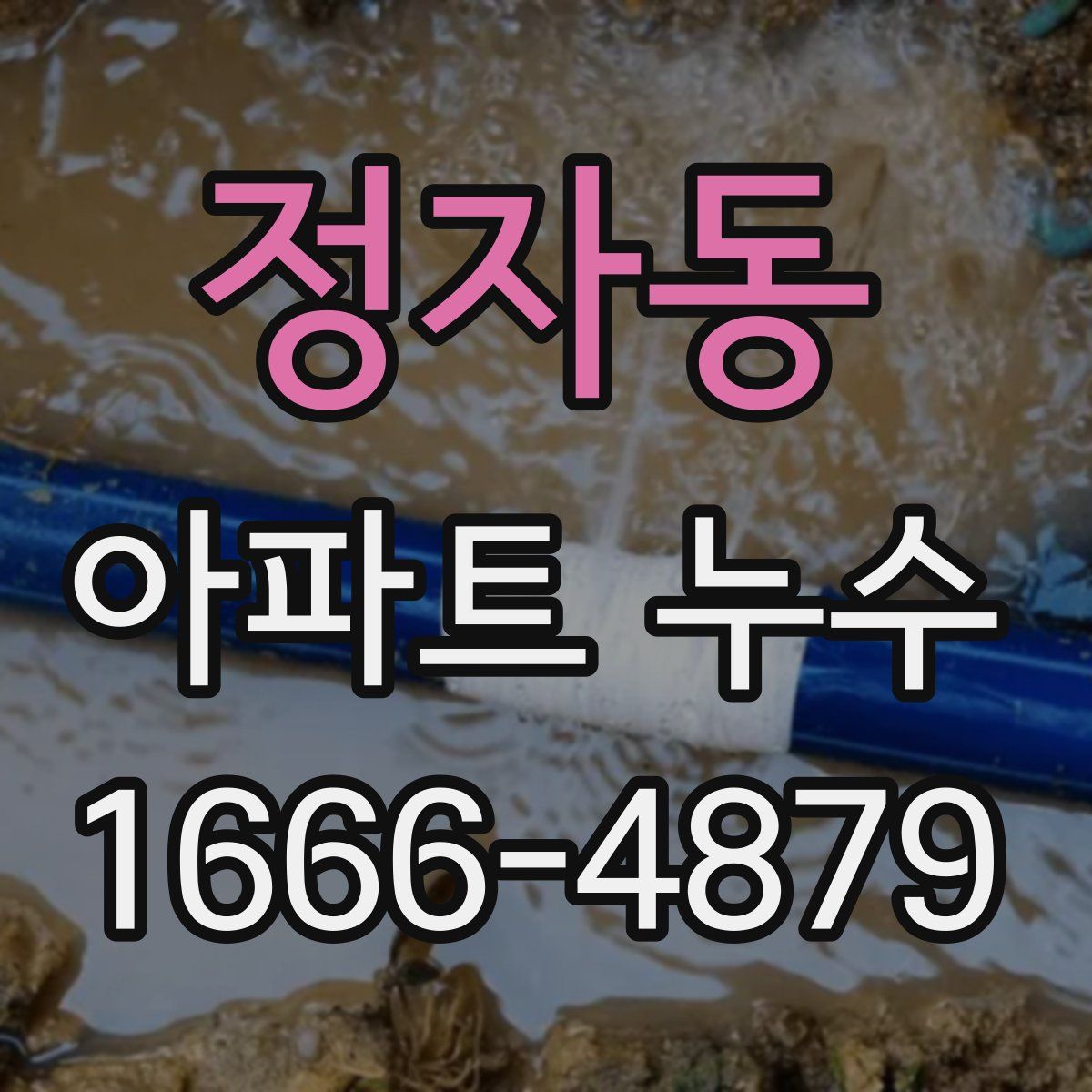 정자동 아파트 누수