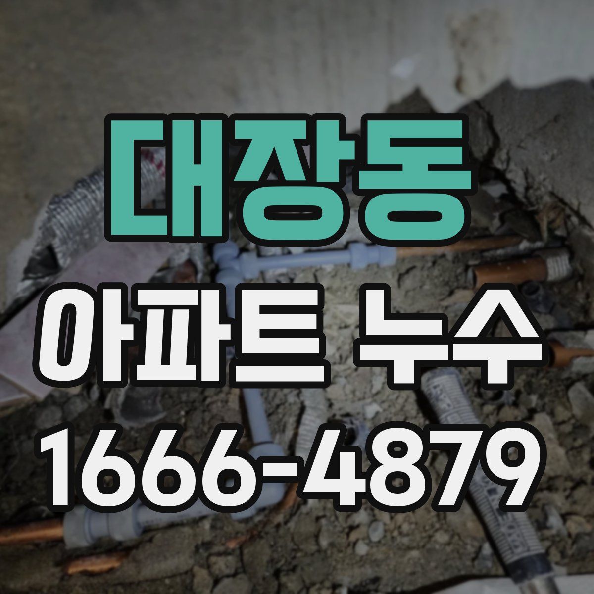 대장동 아파트 누수