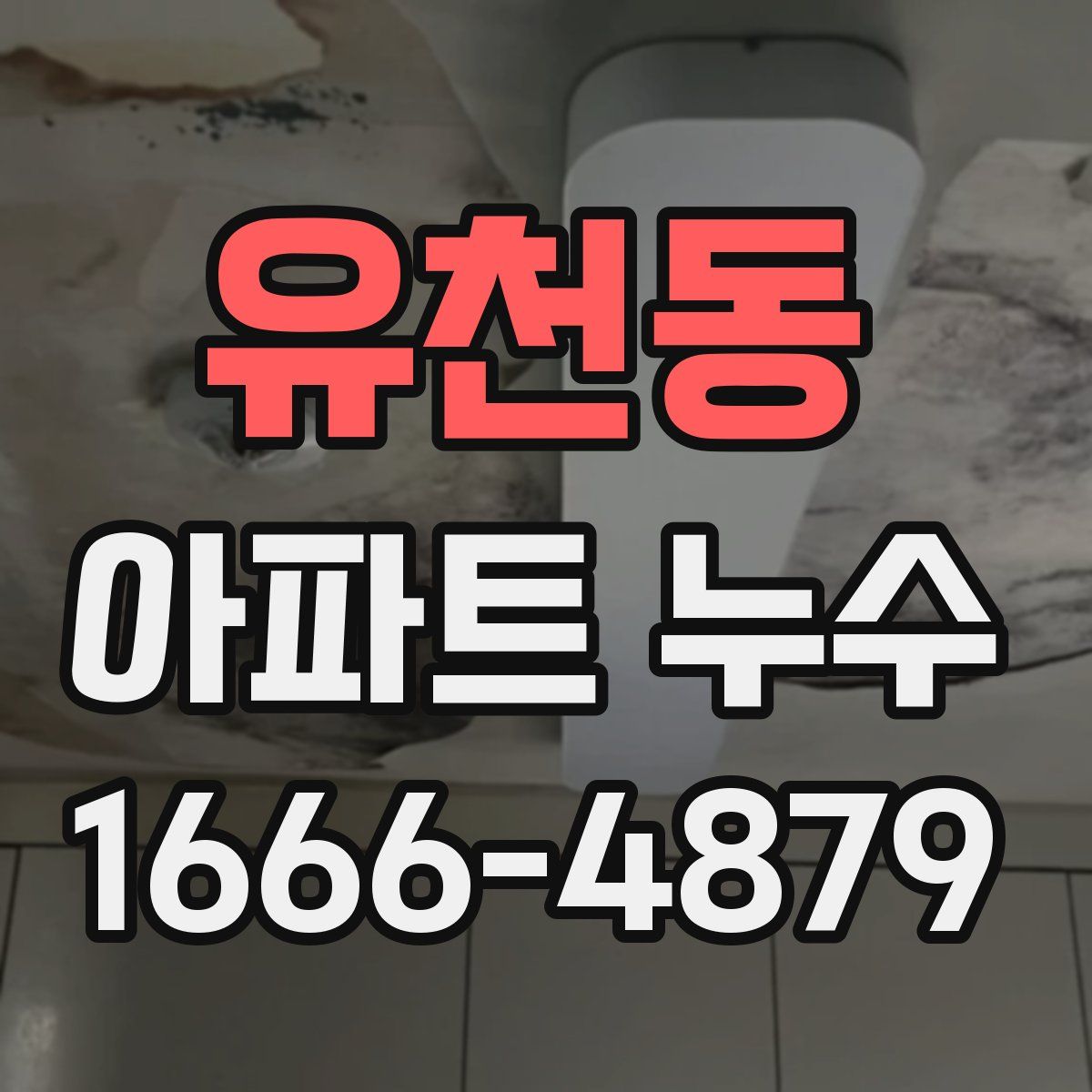 유천동 아파트 누수