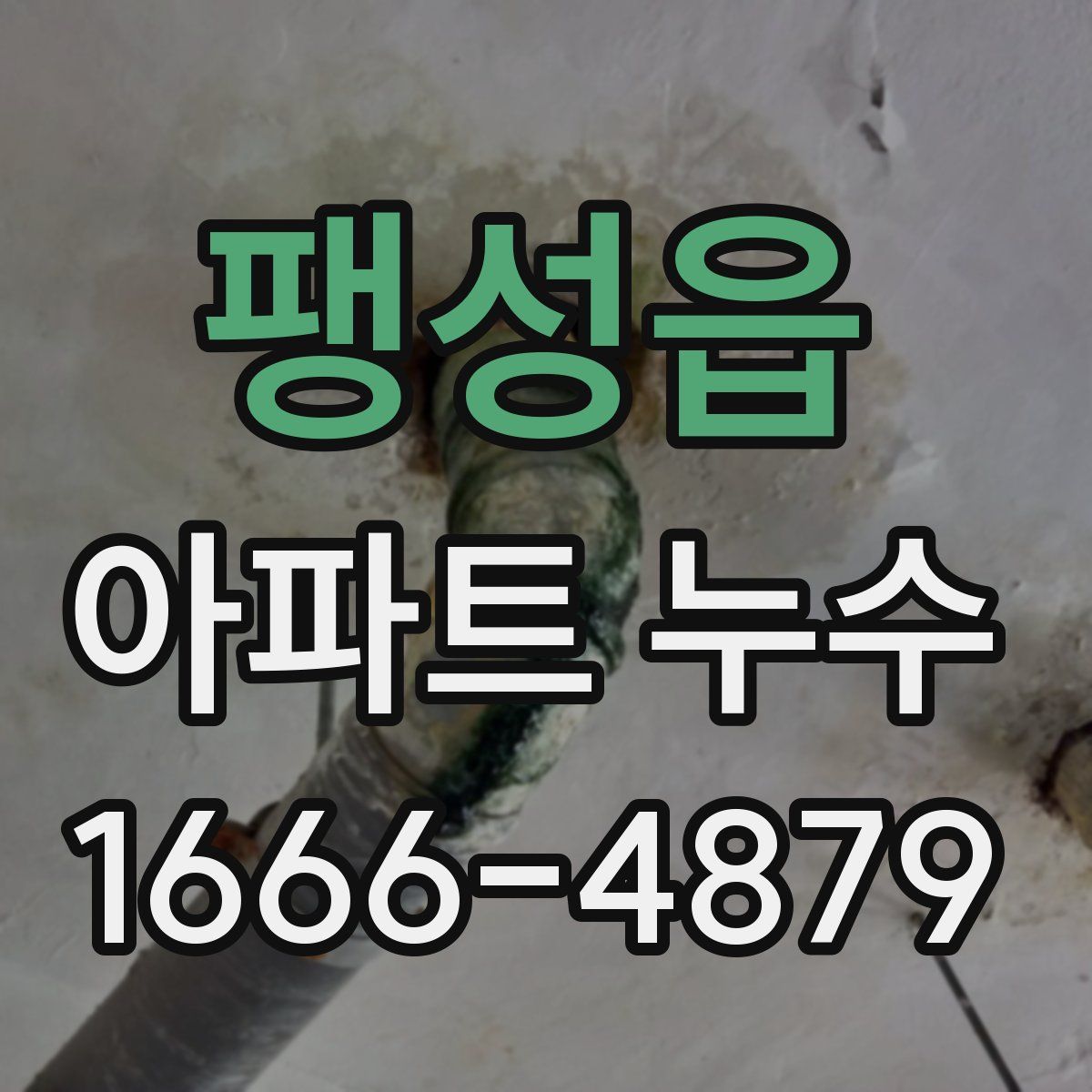 팽성읍 아파트 누수