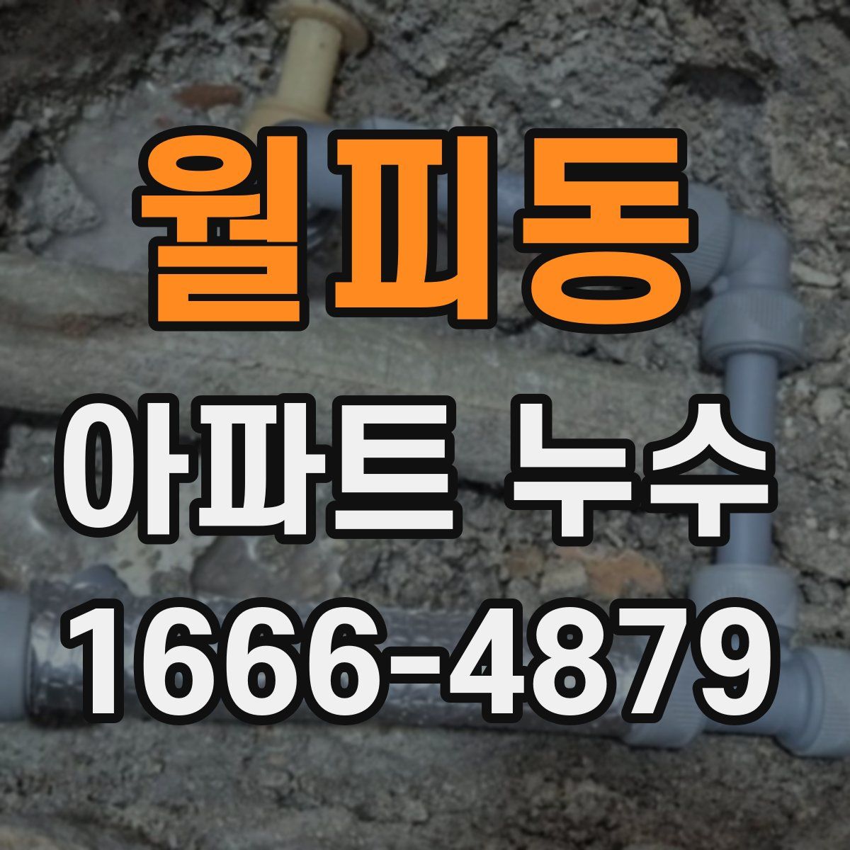 월피동 아파트 누수