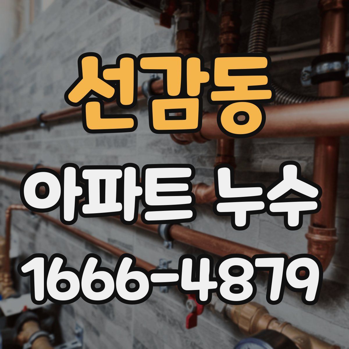선감동 아파트 누수