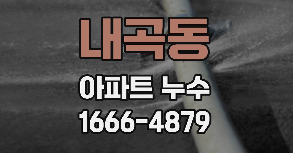 내곡동 아파트 누수